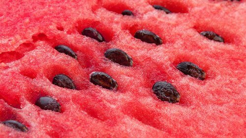 Benefícios de acrescentar sementes de melancia à dieta