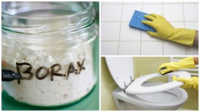 Bórax: descubra 8 formas de utilizá-lo na limpeza
