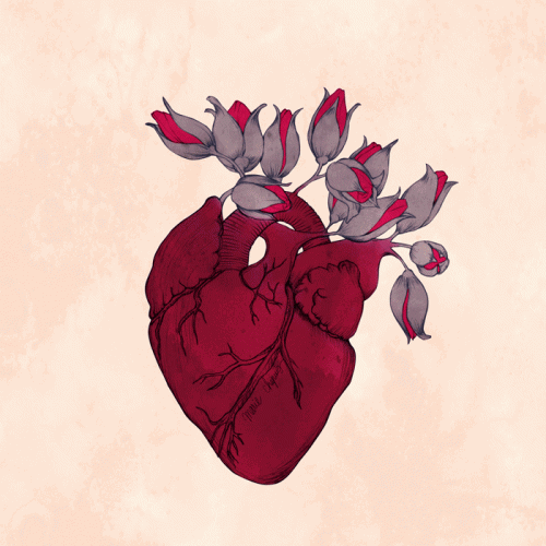 Coração com flores tentando bater