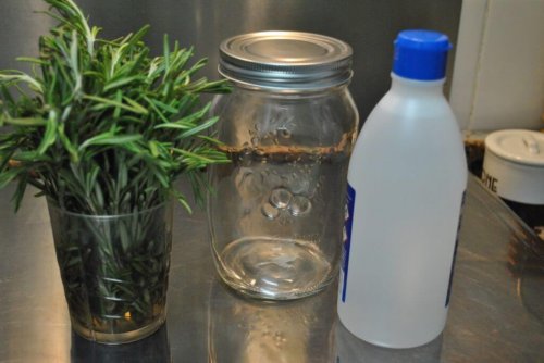 fazer-álcool-de-alecrim
