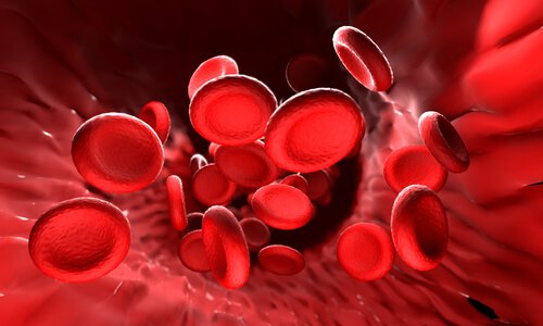 Alcalinizar o sangue