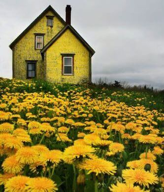 Casa amarela
