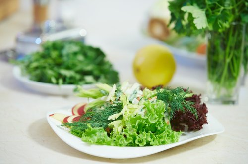 salada-verde-alimentos-nao-se-deve-congelar