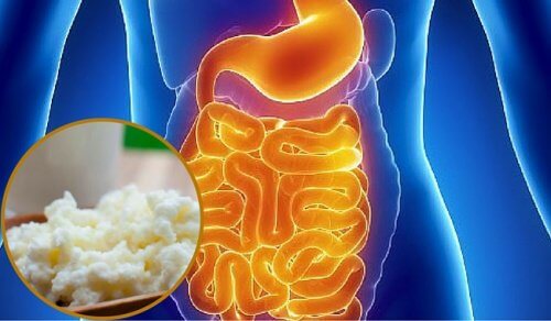 Síndrome de supercrescimento bacteriano: sintomas e alimentação
