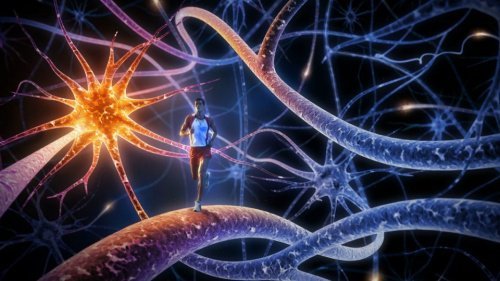 Os 8 melhores exercícios para treinar e aumentar a potência cerebral