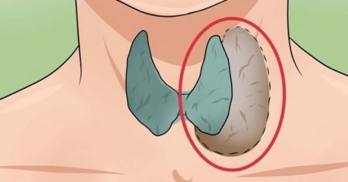 14 sinais que indicam problemas na tireoide