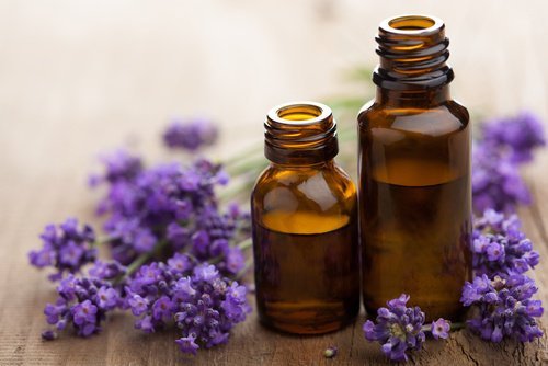 Desodorizador de lavanda para o banheiro