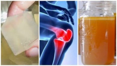 3 remédios com gelatina para aliviar as dores nas articulações