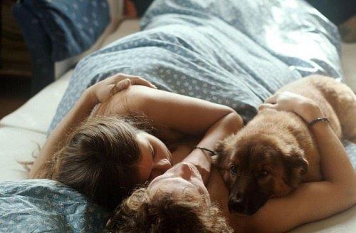 relacionamento-animais-de-estimação