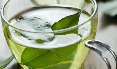 Chá verde para a vagina