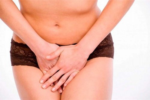 8 alimentos que sua vagina necessita que você coma 8 alimentos que sua vagina necessita que você coma