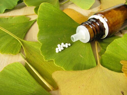 cha de ginkgo biloba para aliviar as alergias