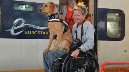 Marieke Vervoort com seu cachorro