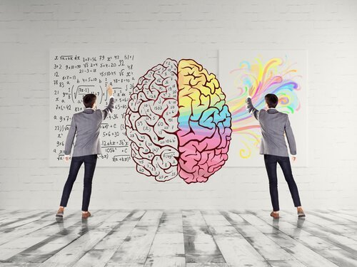 cerebro-jovem