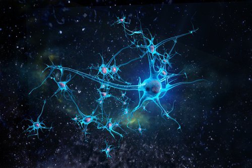 conexoes-cerebro