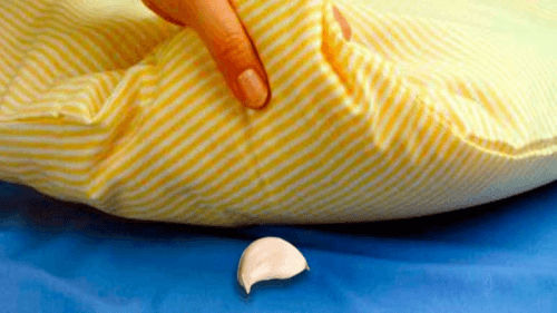 Estes são os benefícios de colocar um dente de alho sob o travesseiro