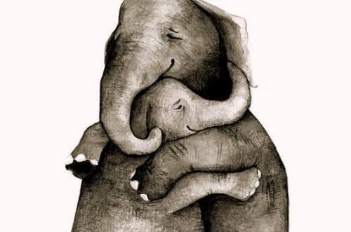 Elefantes se abraçando e compartilhando a vida