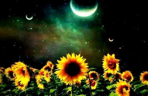 O mais valioso da vida não são coisas, mas pessoas