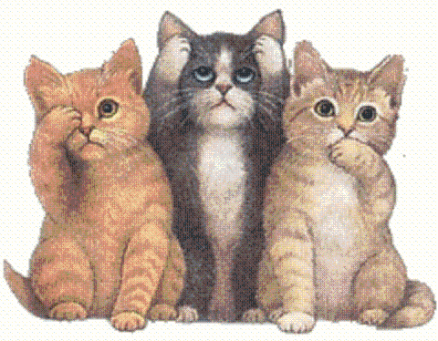 gatinhos-unidos