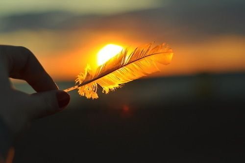pluma-por-do-sol