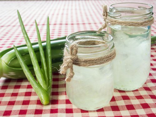 5 motivos para consumir babosa se você sofre de gastrite