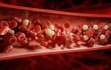 9 ervas e especiarias ideais para limpar o sangue