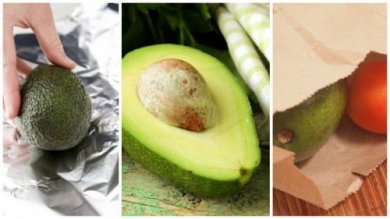 5 truques para amadurecer um abacate em minutos