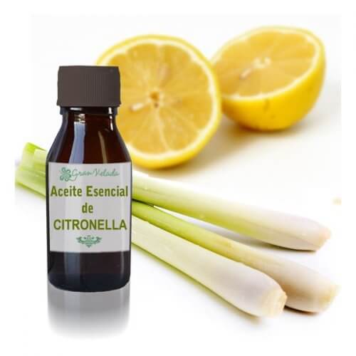 oleo-essencial-de-citronela