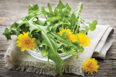 7 diuréticos naturais que você deve incorporar à sua dieta