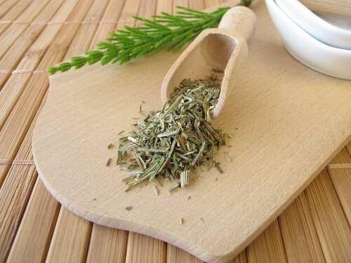 Cavalinha é um dos diuréticos naturais