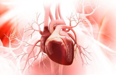 5 chaves para prevenir a síndrome do coração partido