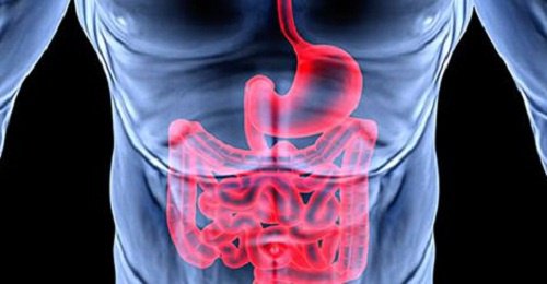 8 sinais de que o sistema digestivo está causando problemas de saúde