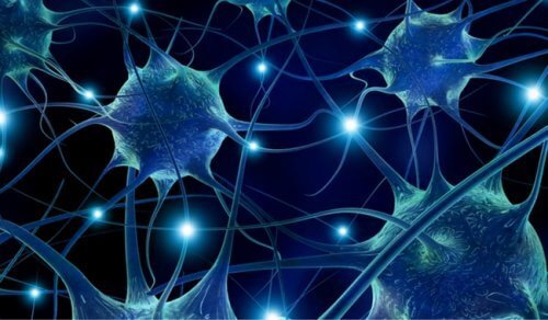 7 alimentos que favorecem a conectividade neuronal 7 alimentos que favorecem a conectividade neuronal