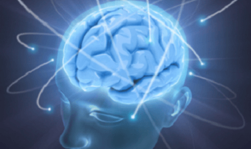 cerebro