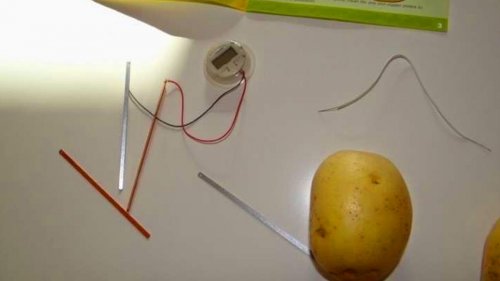 batata_energia_eletrica