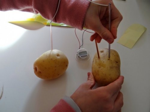 batata_energia_eletrica_fios