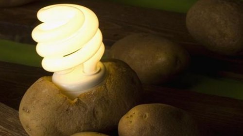 Descubra como iluminar seu quarto com uma batata