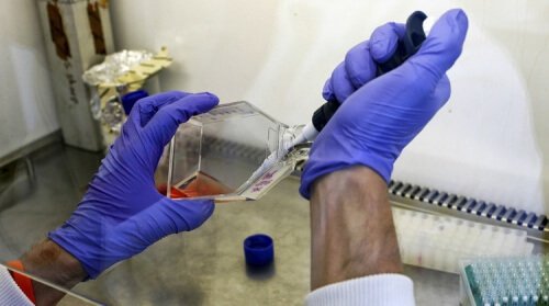 Análise de medula óssea