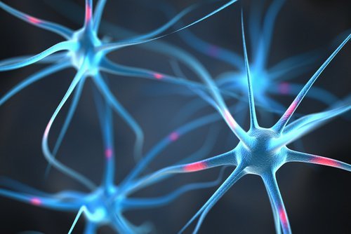 conexoes-neuronais