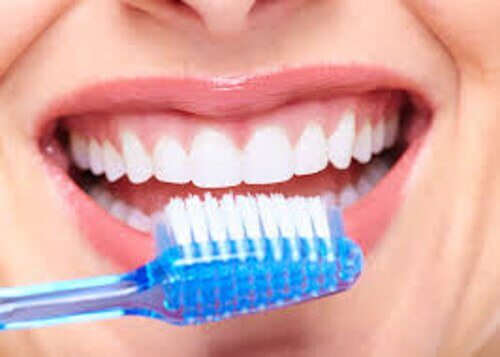 escovar-os-dentes