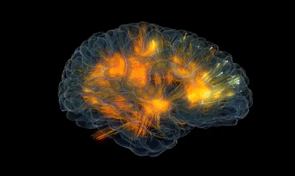 Cérebro com atividade cognitiva