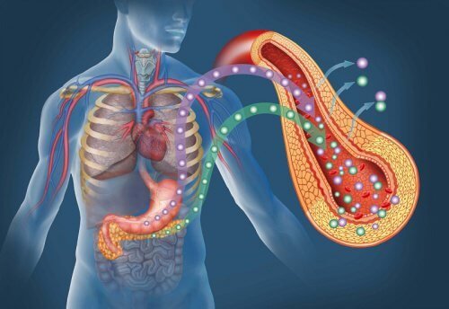 Possíveis sinais de diabetes para não ignorar