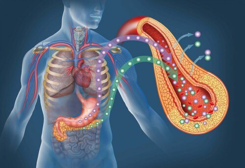 10 sinais de diabetes que não devemos ignorar 10 sinais de diabetes que não devemos ignorar
