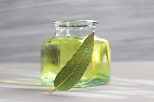 Infusão de eucalipto para tratar a rinite alérgica