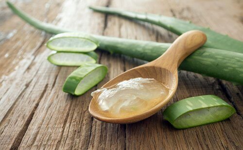 Gel de aloe vera para combater terçol