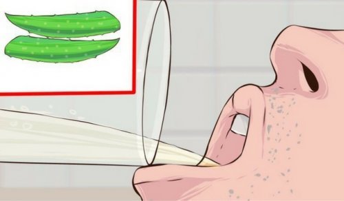 Como usar a babosa para tratar a diabetes