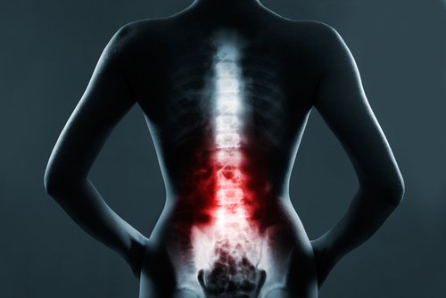 Relação da coluna vertebral e os órgãos