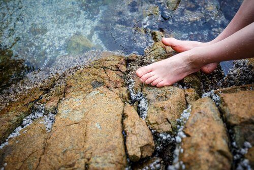 agua-fria-pes