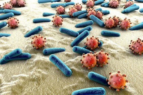 bacterias