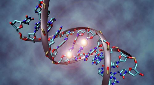 O câncer é uma doença hereditária? Dados a considerar O câncer é uma doença hereditária? Dados a considerar